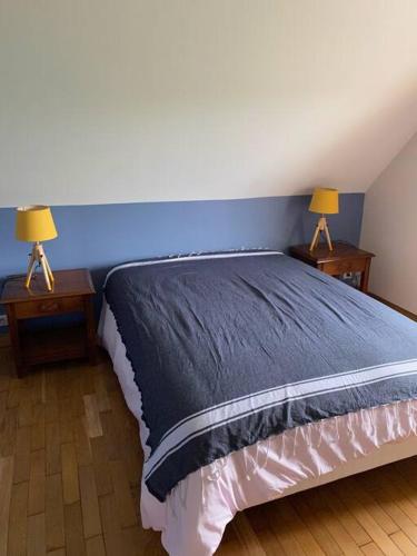 a bedroom with a bed with two lamps on tables at Maison de charme en pleine nature in Saint-Germain-des-Grois