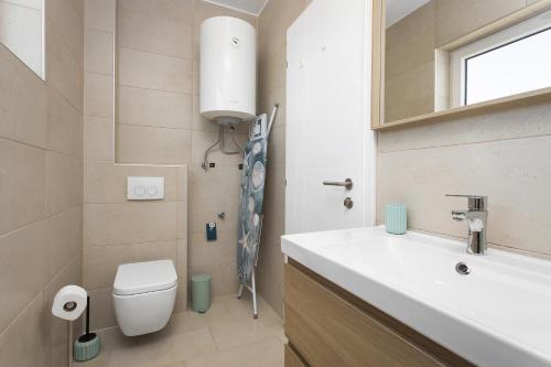 une salle de bain avec un lavabo, des toilettes et un miroir dans l'établissement Villa Angie with Heated Pool, à Vodnjan