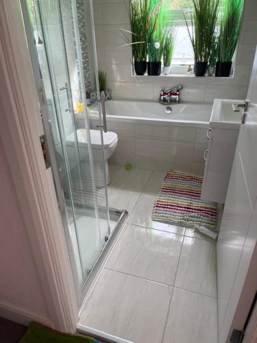 a bathroom with a shower and a toilet and a sink at 97 Granville road in Dublin