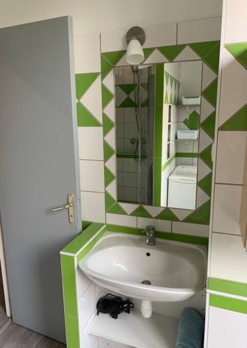 une salle de bain avec un lavabo et un miroir dans l'établissement Grand studio centre ville Saint-Etienne, à Saint-Étienne
