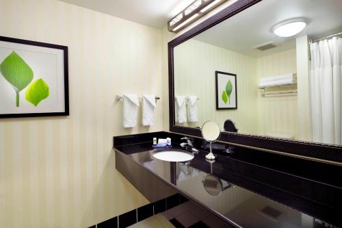 a bathroom with a sink and a large mirror at Fairfield Inn & Suites Pittsburgh Neville Island in Robinson Township