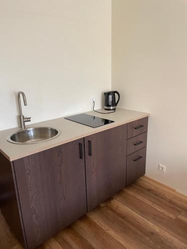 a kitchen with a sink and a counter top at Kornelija in Palanga