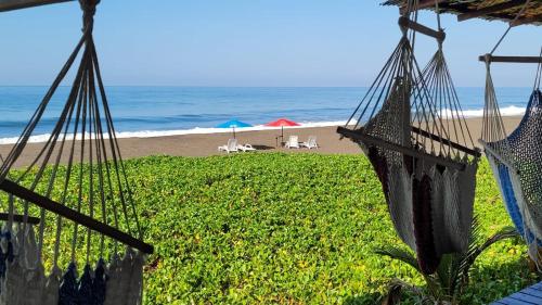 a beach with two hammocks and the ocean at Hotel Hawaian Paradise in Hawaii