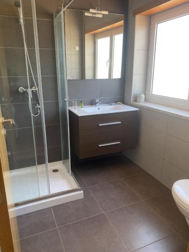 a bathroom with a sink and a shower and a toilet at Chez Ilda - Casa da Ilda Alojamento Local in Folhadal