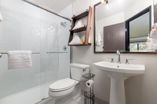 a bathroom with a toilet and a sink and a shower at MTN Lodge Ridgway in Ridgway