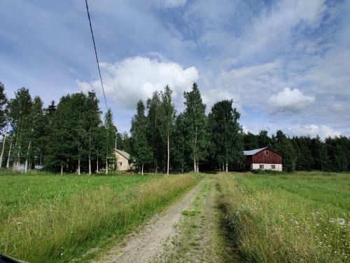 uma estrada de terra num campo com um celeiro vermelho em Glamping tent Pielinen 