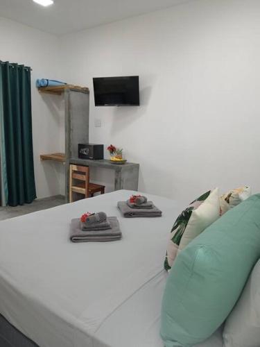 a living room with a bed and a television at Chagres River Lodge in Santa Rosa