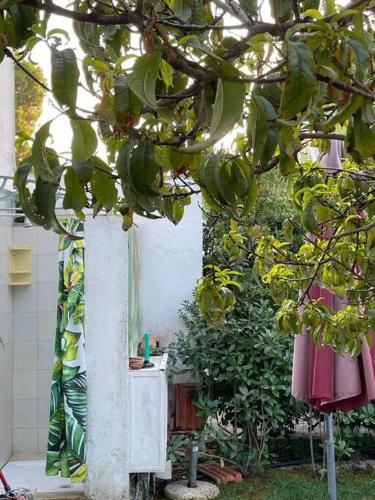 Villa G55C RosaMarina – Photos 3