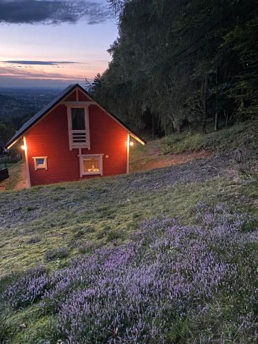 Příroda nedaleko apartmánu