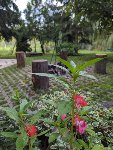 a garden with flowers and a bench in a park at Lóci Palócház in Nagylóc