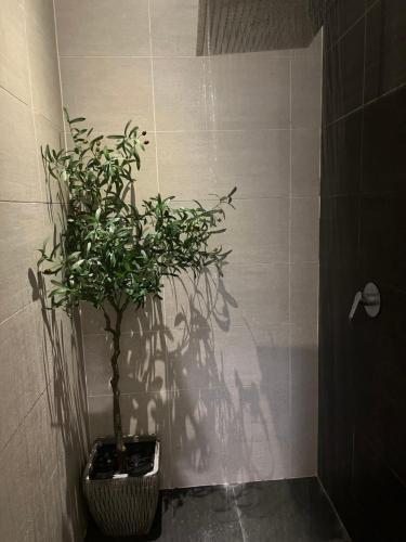 コタバルにあるTroika Residency Kota Bharu by The Stay Homestay 1のギャラリーの写真
