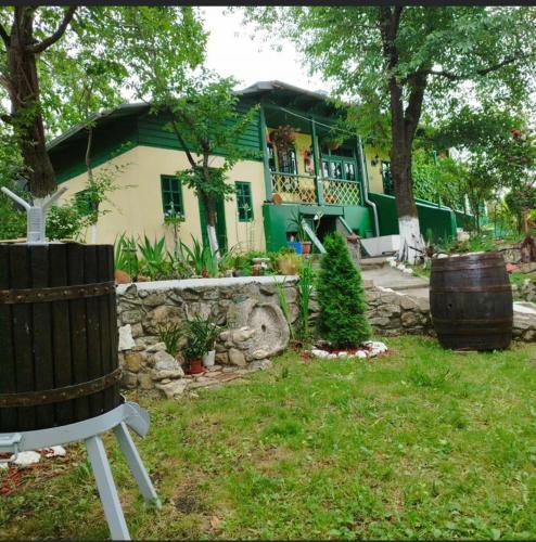 uma casa verde e branca com uma árvore no quintal em Căsuța fa rai din ce ai em Buzau
