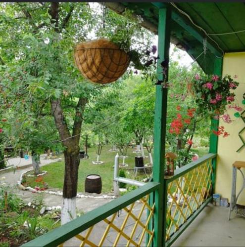 Căsuța fa rai din ce ai في بوزاو: شرفة مع سلة معلقة من شجرة