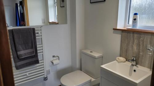 małą łazienkę z toaletą i umywalką w obiekcie VitaVer, B&B, STL-OR00012F w mieście Orkady