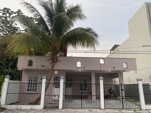 a palm tree in front of a house with a fence at Casa Colibrí in Cozumel