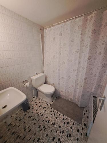 a bathroom with a toilet and a shower curtain at Romantischer studio mit grosser Terrasse in Salavaux