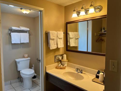 W łazience znajduje się umywalka, toaleta i lustro. w obiekcie Lamp Liter Inn w mieście Visalia