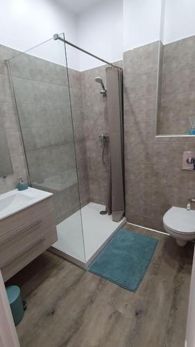 Appartement centre-historique 70 m2