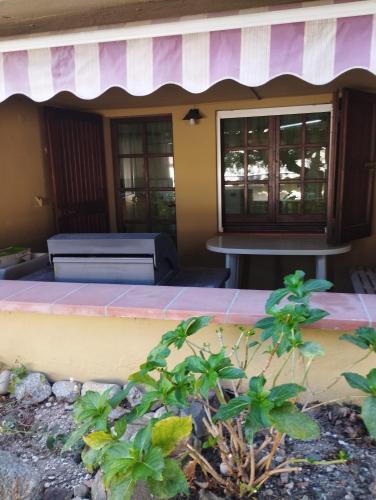 a porch of a house with a bench and a window at casa vacanze cettina home 3 mt 50 dal mare in Terra Mala