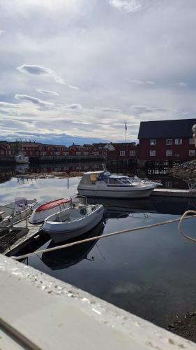 a group of boats docked in a harbor at Det kule gule huset in Svolvær