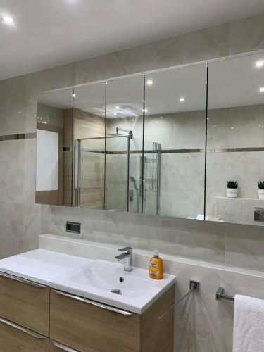 a bathroom with a sink and a large mirror at Apartment Naturjuwel in Hünxe