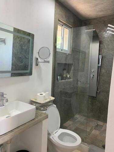 ein Bad mit einem WC, einem Waschbecken und einer Dusche in der Unterkunft VILLA GRANDEZZA in Punta Cana