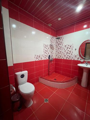 a red bathroom with a toilet and a tub at Z Narek in Elar