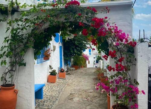 an alley with flowers on a white building at Santorini colombiano en Doradal in Puerto Triunfo