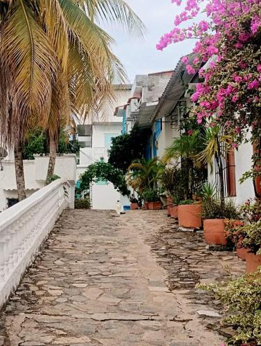 El Santorini colombianoにある庭