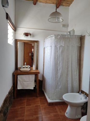 a bathroom with a shower and a sink and a toilet at El Cobijo del Artista - en Huacalera in Huacalera