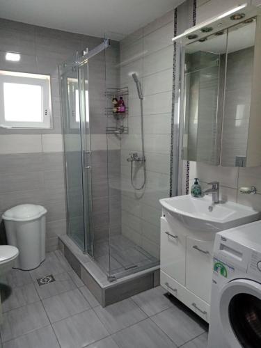 a bathroom with a shower and a toilet and a sink at Apartman ISPOD DUGE LANA in Zlatibor