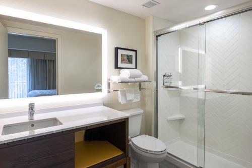 a bathroom with a sink and a toilet and a shower at The Scenic Hotel at Biltmore Village in Asheville