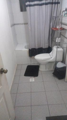 a bathroom with a white toilet and a shower at Casa Coyhaique in Coihaique