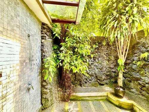 Jardín al aire libre en Dupa Ubud