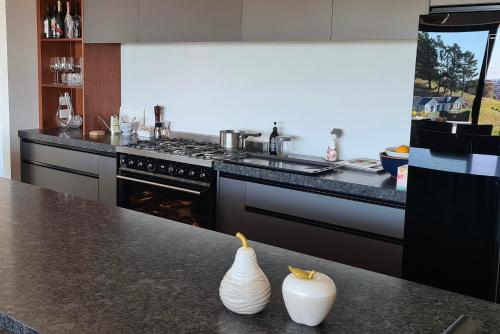 a kitchen with a stove and a counter with two vases at Room With A view in Napier
