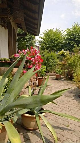 Zahrada ubytování Antico Albergo Sant'Antonio