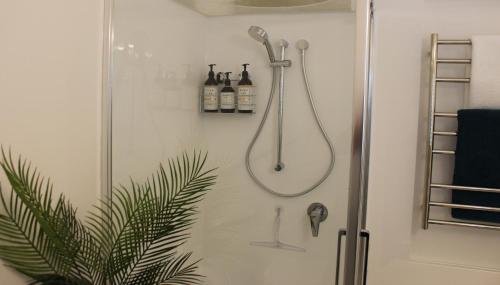 y baño con ducha. en The Pool House Bed & Breakfast - Napier en Napier