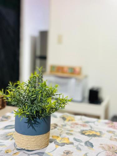 a plant in a blue pot sitting on a table at Mahale - Quepos Manuel Antonio Reserve in Quepos