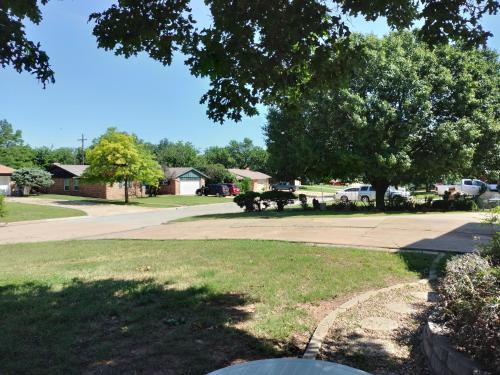 a yard with a tree and a driveway at Golden Sunflower's Apt E in Lawton