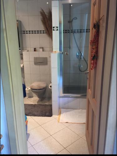a bathroom with a shower and a toilet at gemütliches Zimmer in Winningen mit Garten-, Küchennutzung und schnellem WIFI in Winningen