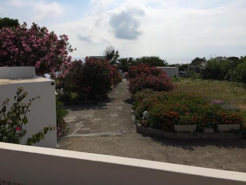 a garden with pink flowers and a white refrigerator at Pensione La Nassa in Stromboli