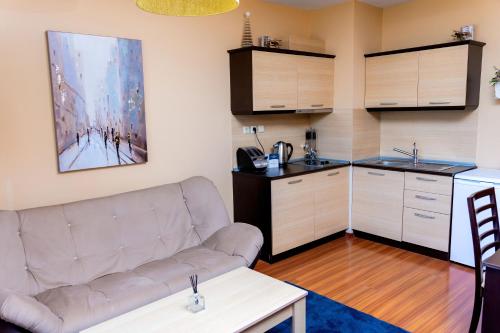 Kuchyň nebo kuchyňský kout v ubytování private apartment Bansko
