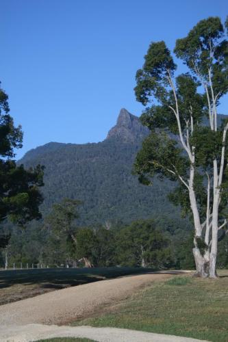 a tree with a mountain in the background at Avion Retreat in Pumpenbill