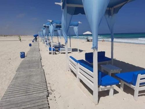 - une rangée de chaises longues et de parasols sur la plage dans l'établissement North coast sedra resort villa قريه سيدرا الساحل الشمالي, à Alexandrie