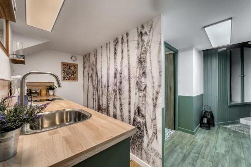 uma cozinha com um lavatório e uma cortina de chuveiro em Cabane pour vos vacances à 190m du lac d’Annecy em Menthon-Saint-Bernard