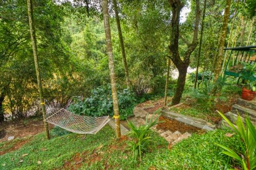 a hammock in the middle of a garden at Ende Wayanad Resort in Koroth