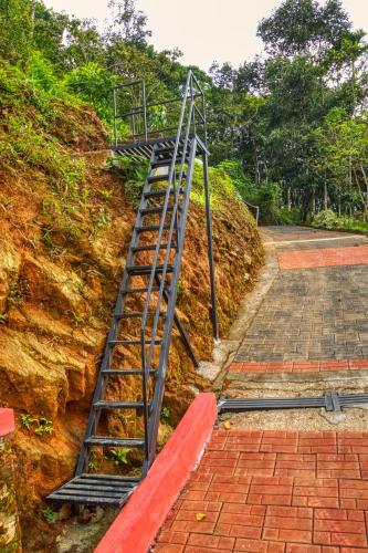 a ladder on the side of a hill at Ende Wayanad Resort in Koroth