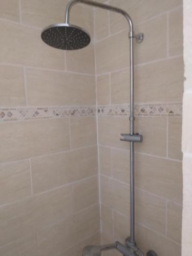 La salle de bains est pourvue d'une douche avec un pommeau de douche. dans l'établissement chambre d'hôte dans maison privée, à Périgueux