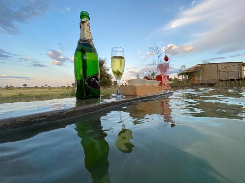 a bottle of wine and two glasses sitting on the edge of a pool at Mababe River Lodge in Mababe