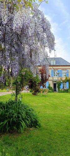 un arbre à fleurs devant un bâtiment dans l'établissement La mare aux petits diables, à Équemauville